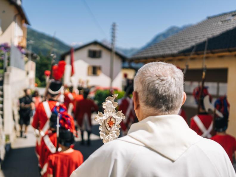 Image 2 - Die napoleonischen Milizen